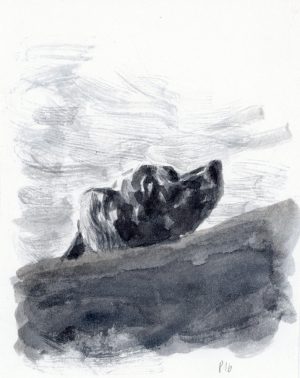 Bozonnet > Goya, illustration 3 1
