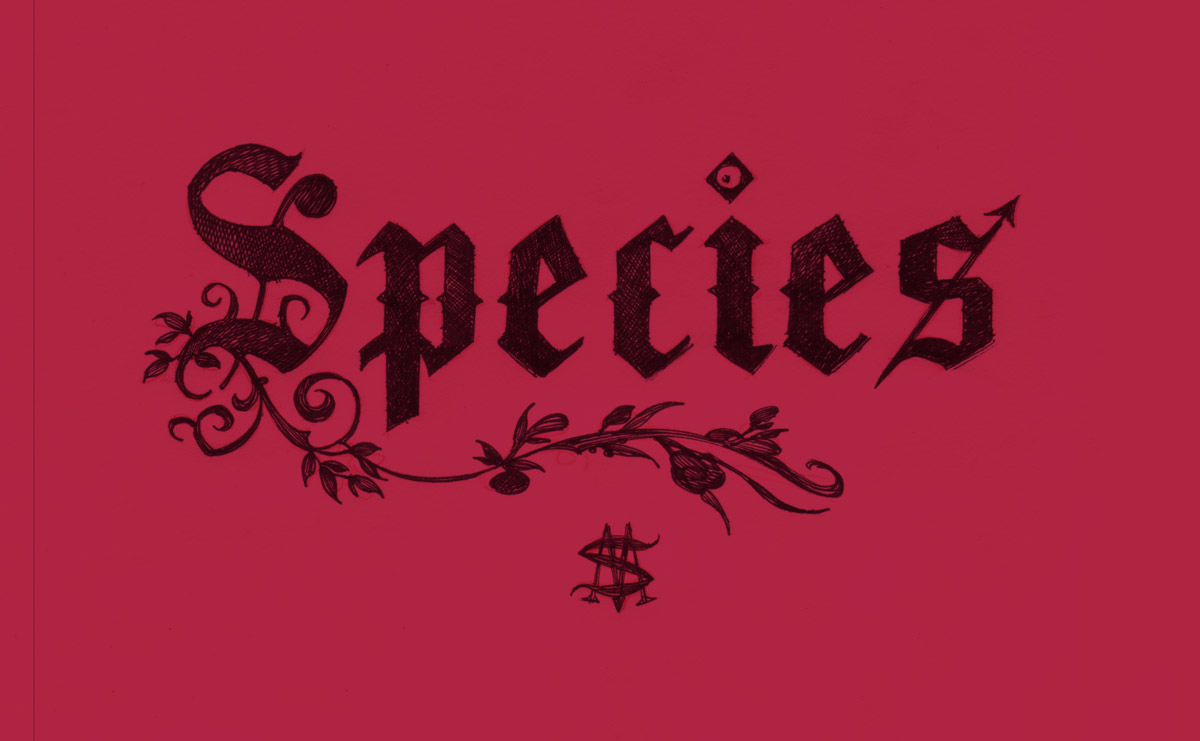 catalogue « SPECIES »